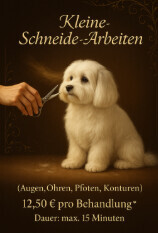 Bilder Serafino Oase