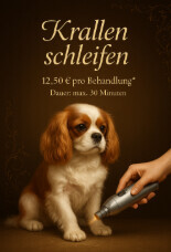 Bilder Serafino Oase