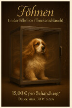 Bilder Serafino Oase