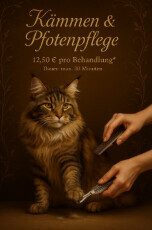 Bilder Serafino Oase