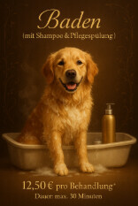 Bilder Serafino Oase