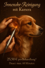 Bilder Serafino Oase