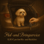 Bilder Serafino Oase