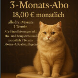 Bilder Serafino Oase