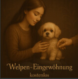 Bilder Serafino Oase