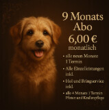 Bilder Serafino Oase