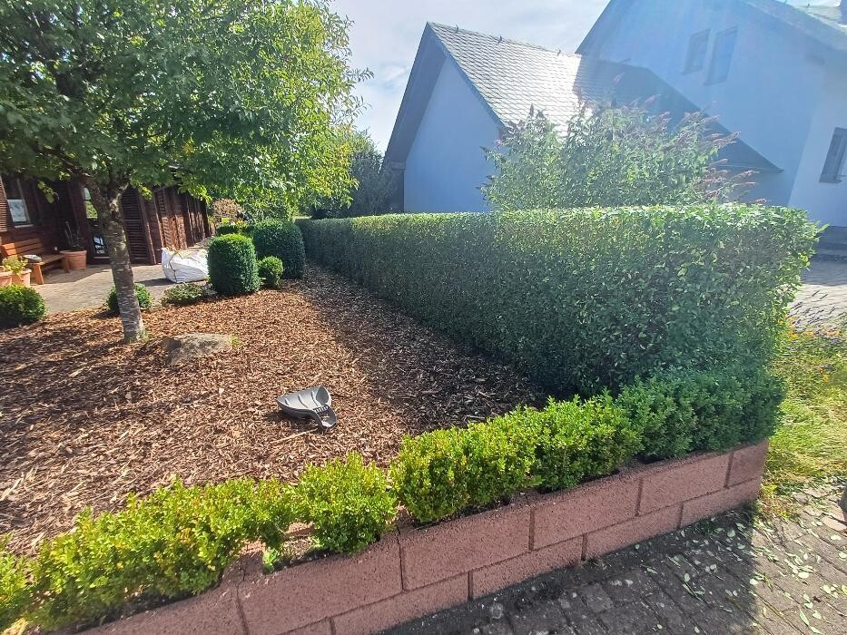 Bilder Atelier-Eisenschmitt, Ulf Letsch - Gartengestaltung und Hausmeisterservice
