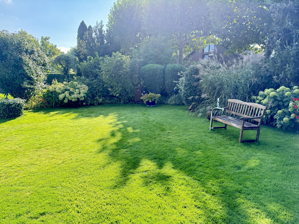 Bilder Denis Schorer Immobilien