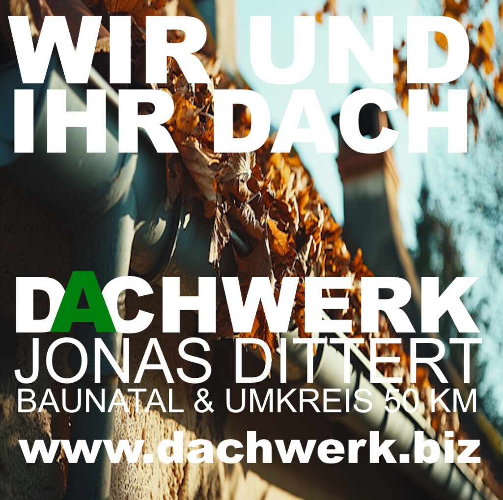 Bilder Dachwerk Jonas Dittert UG