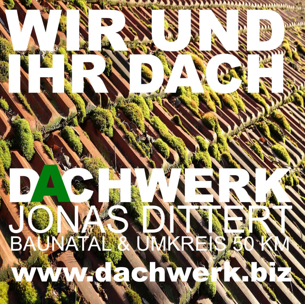 Bilder Dachwerk Jonas Dittert UG
