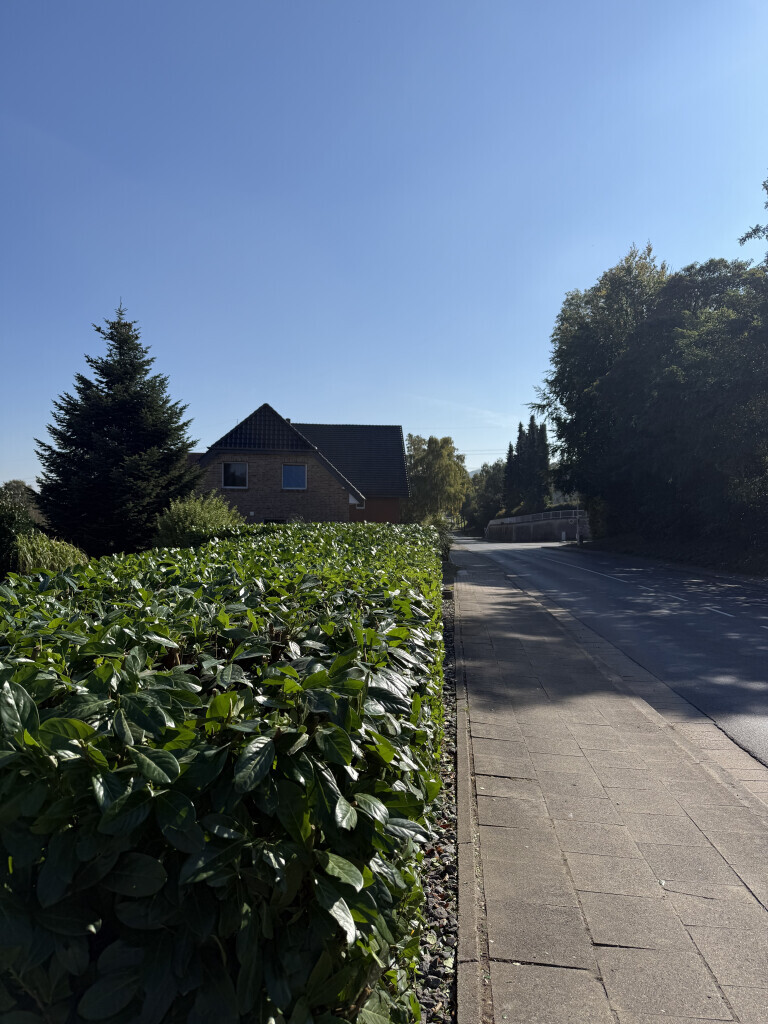 Bilder All Around Service