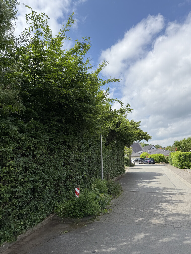 Bilder All Around Service