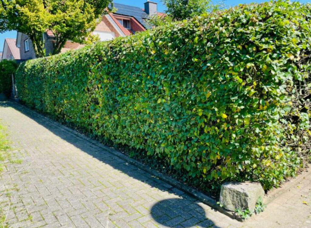 Bilder All Around Service