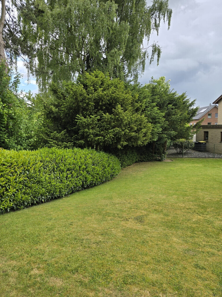 Bilder All Around Service