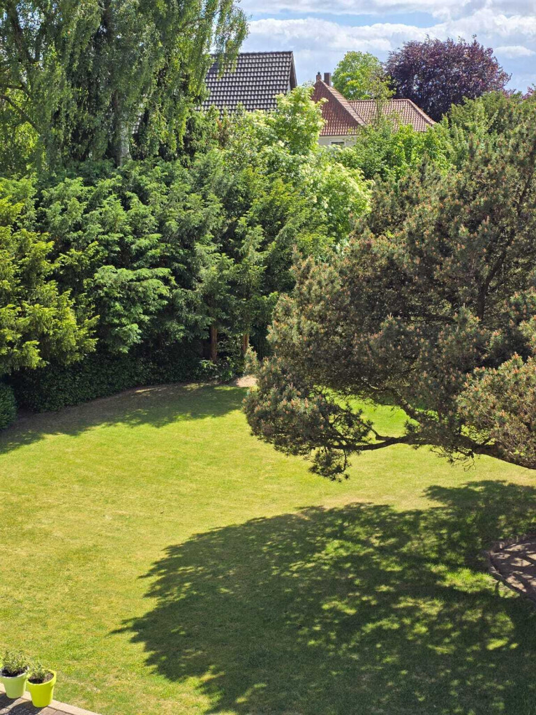 Bilder All Around Service