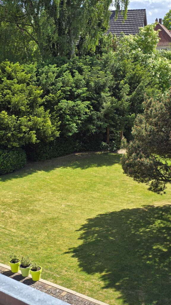 Bilder All Around Service