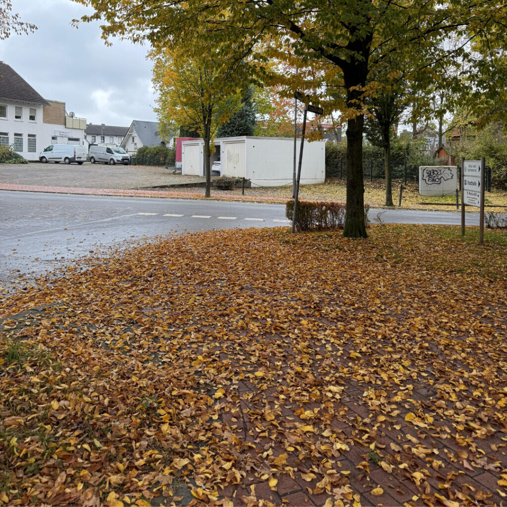 Bilder All Around Service