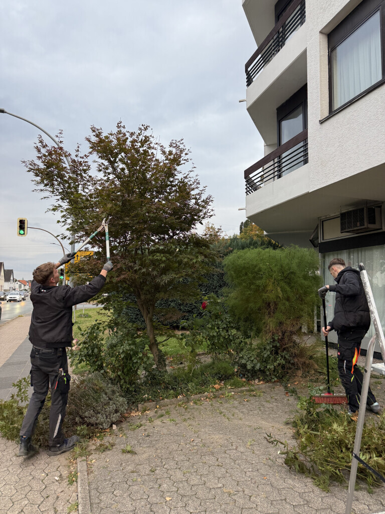 Bilder All Around Service