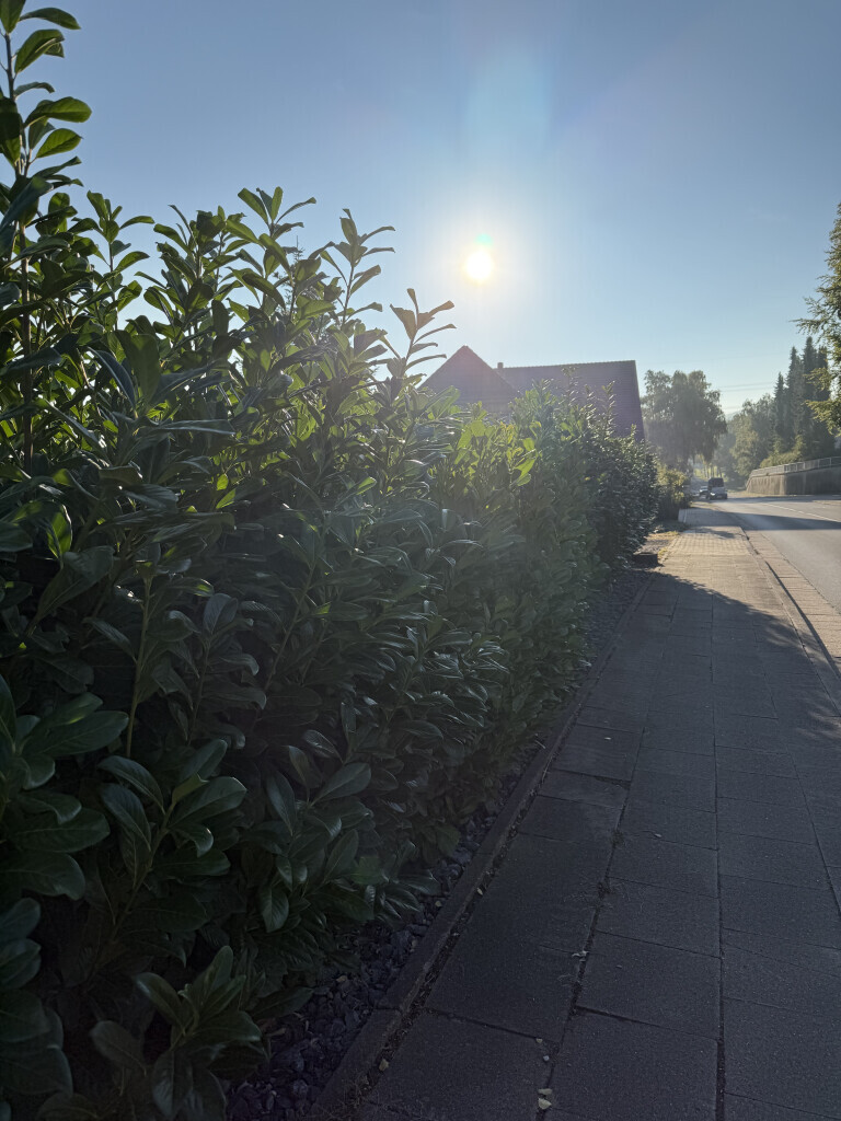 Bilder All Around Service