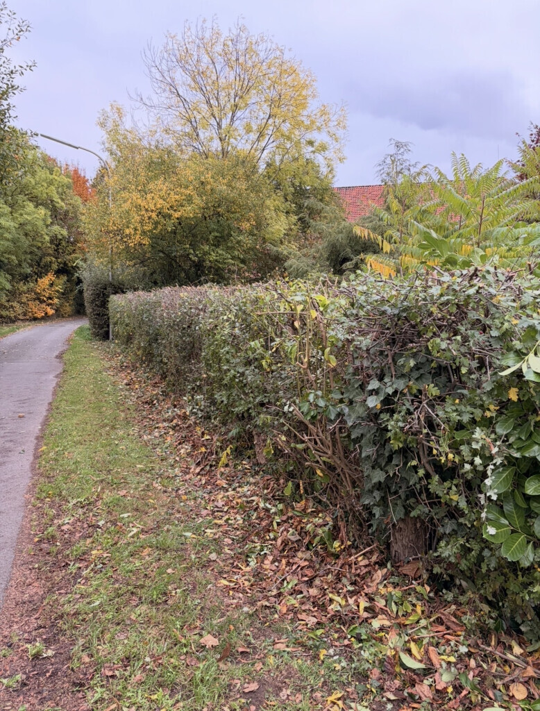 Bilder GrünWerk Daniel Bodenstab