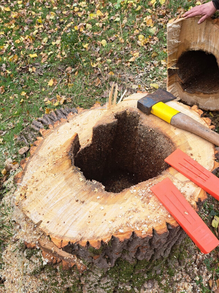 Bilder GrünWerk Daniel Bodenstab