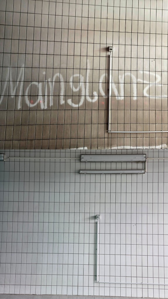 Bilder Mainglanz Dienstleistungen