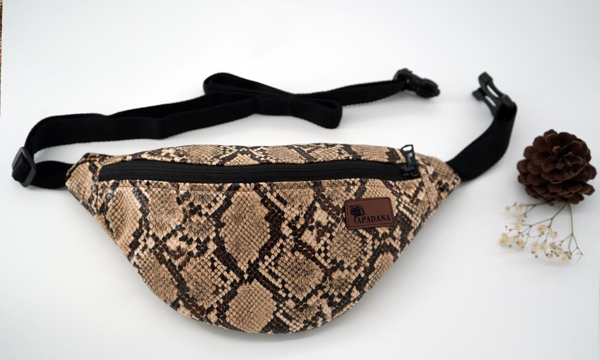 Bilder Apadana Taschen