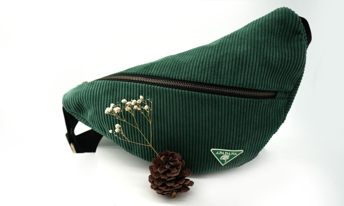 Bilder Apadana Taschen