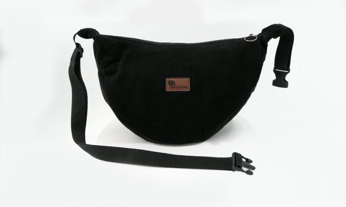 Bilder Apadana Taschen