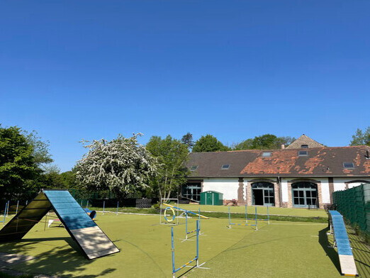 Bilder Hundezentrum MG