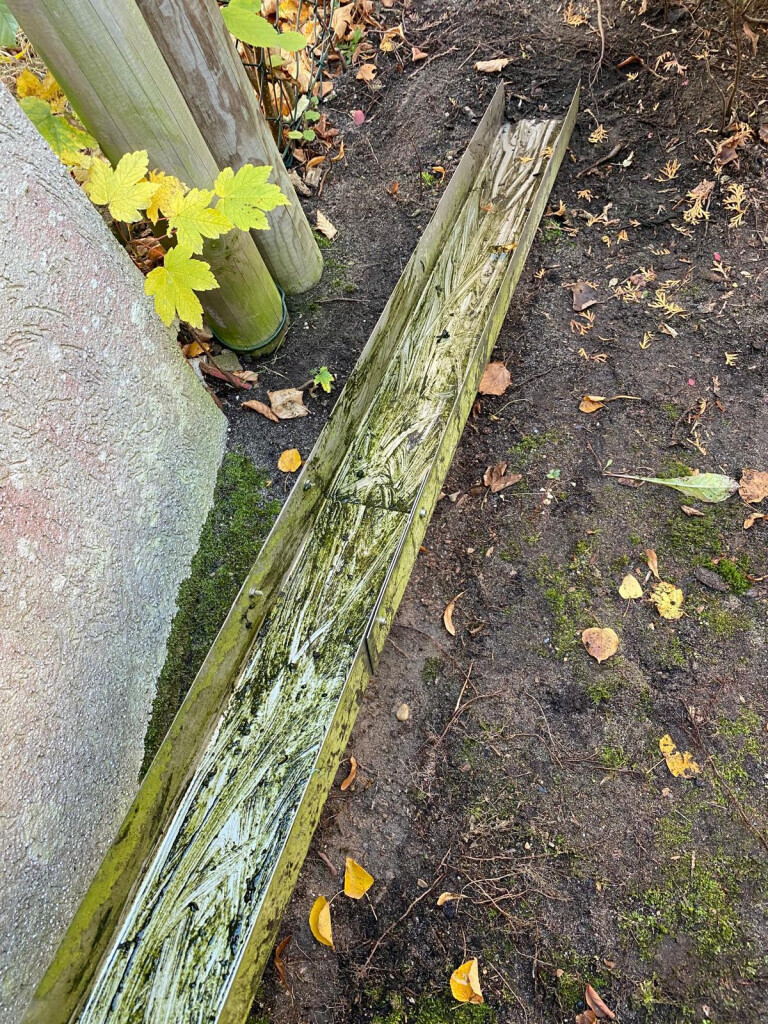 Bilder MiMi Reinigungs- und Gebäudeservice