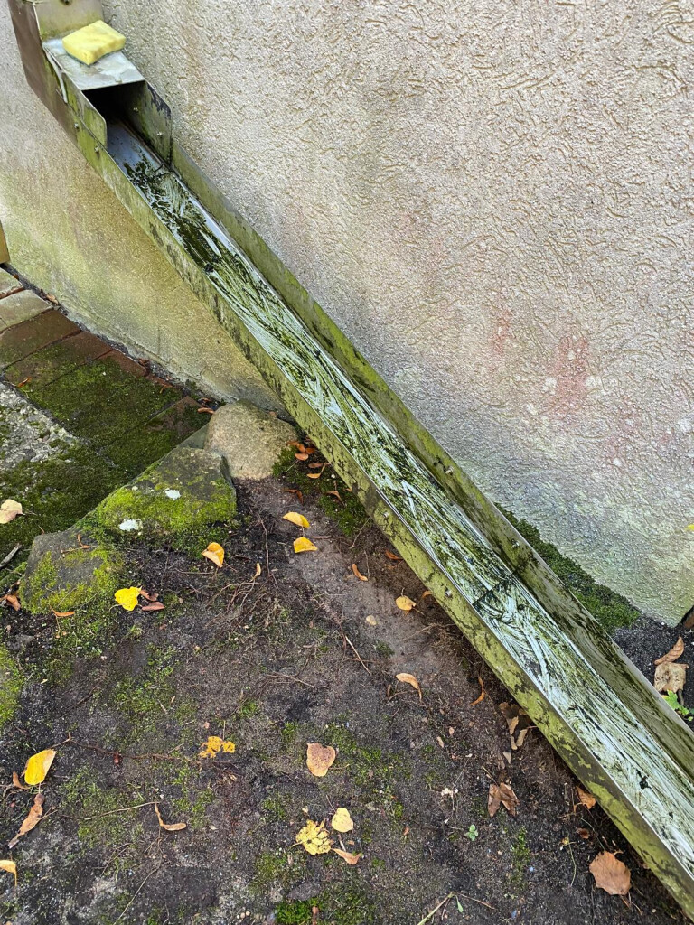 Bilder MiMi Reinigungs- und Gebäudeservice