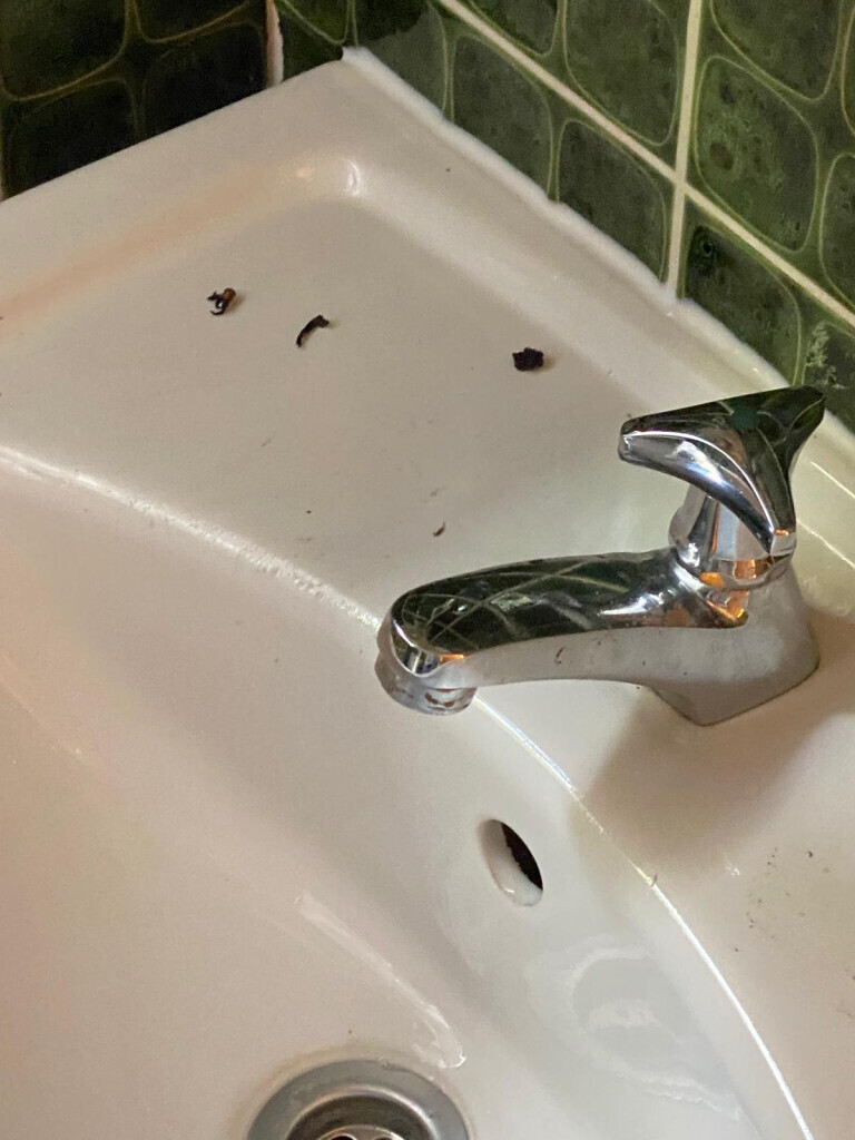 Bilder MiMi Reinigungs- und Gebäudeservice