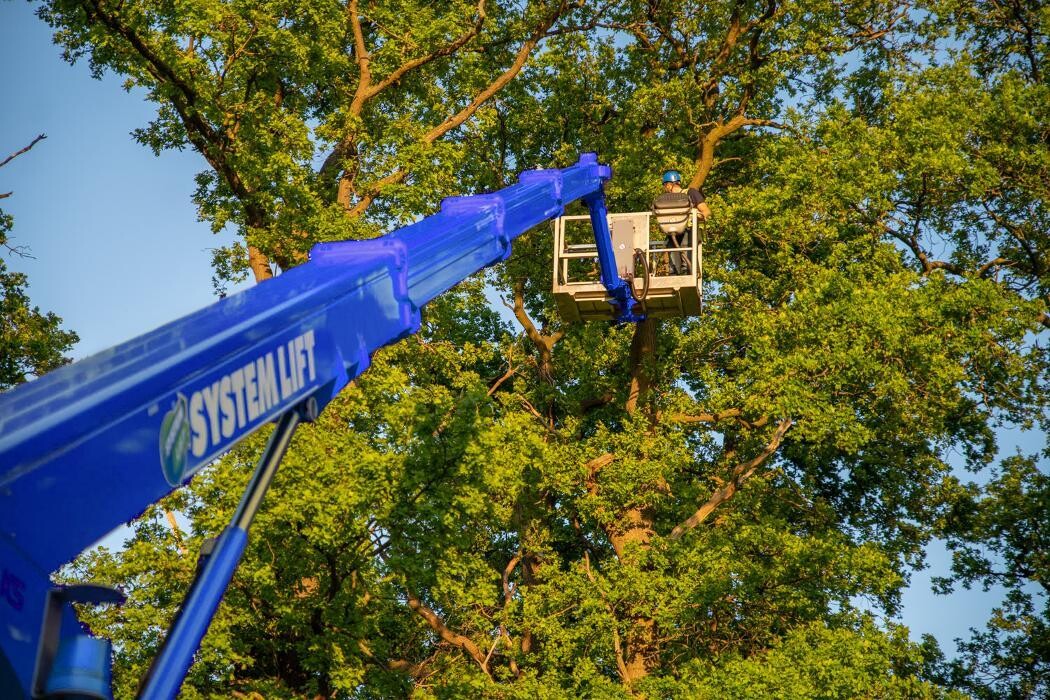 Bilder avs SYSTEM LIFT AG | Arbeitsbühnen, Krane & Stapler | Vermietung & Bedienerschulungen