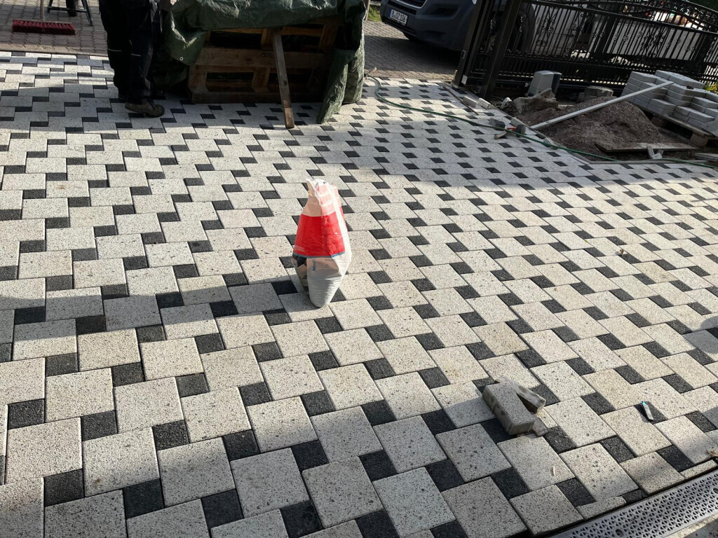 Bilder Blatt & Blüte Dienstleistung