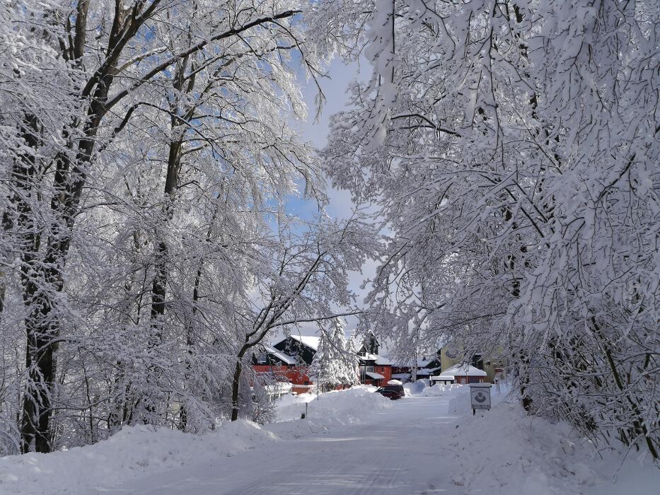 Bilder AKZENT Berghotel Rosstrappe