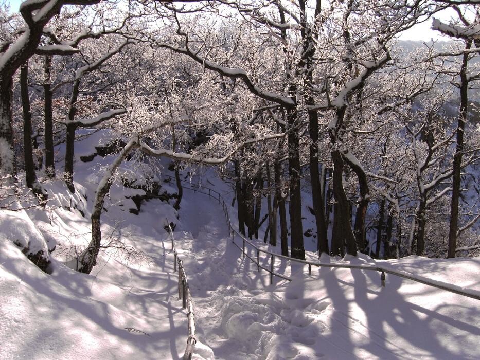 Bilder AKZENT Berghotel Rosstrappe