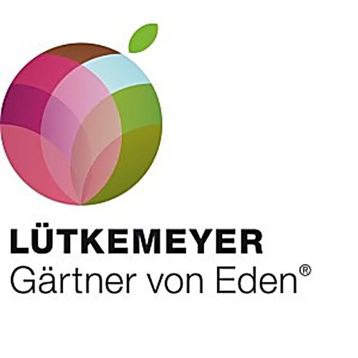 Bilder Lütkemeyer 'Ihr Gärtner von Eden' GmbH & Co. KG