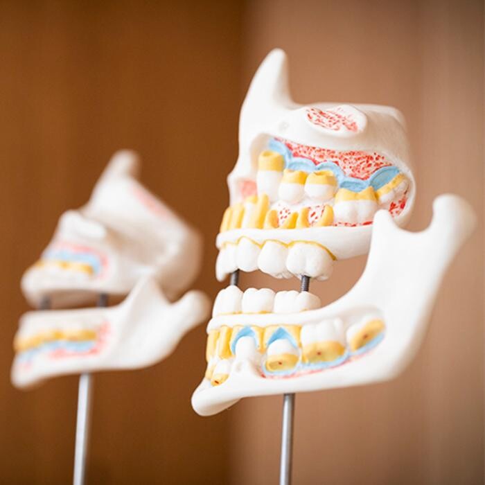 Bilder Zahnarztpraxis Frau Edeltraut Block