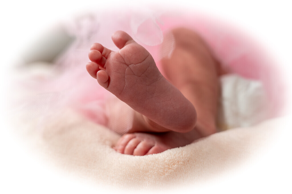 Bilder Fotos by Peter