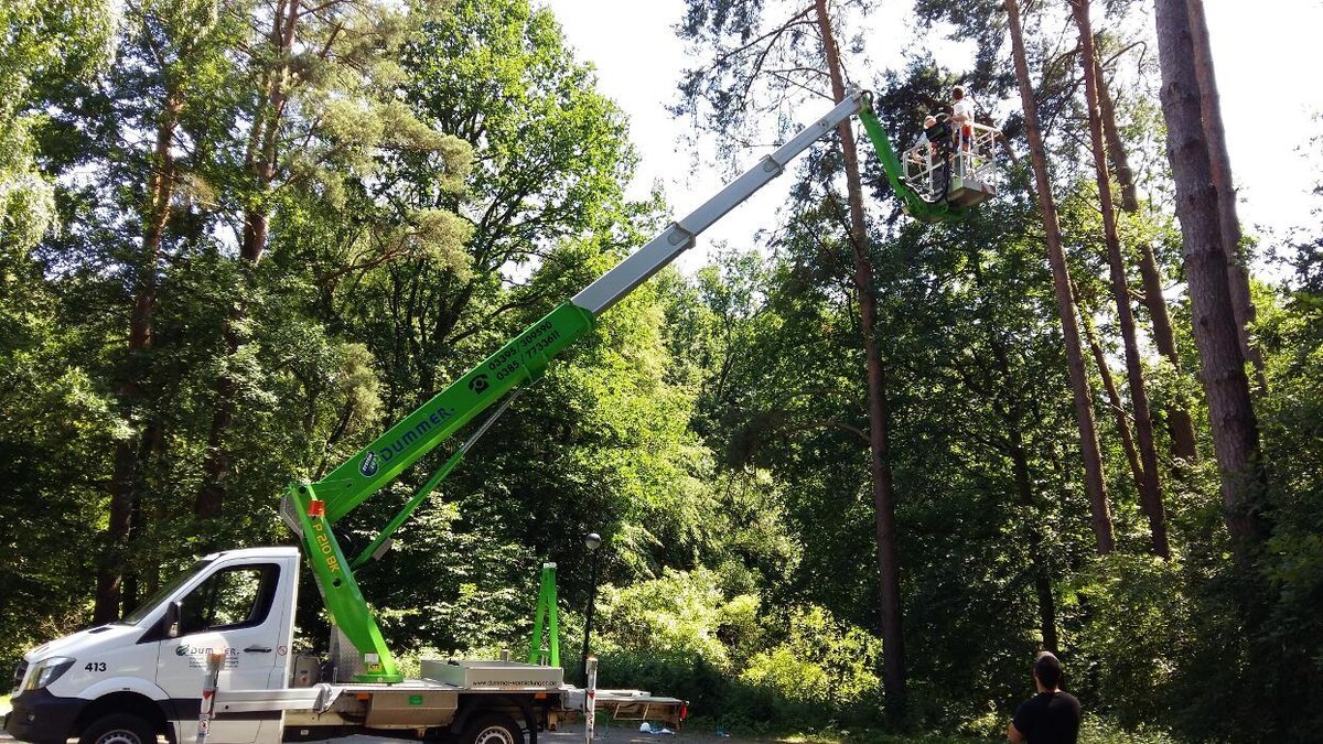 Bilder Dummer GmbH - Arbeitsbühnenvermietung & Schulungen