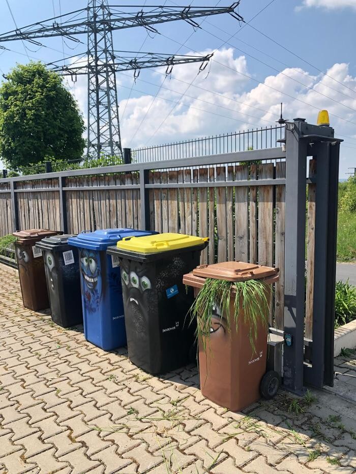 Bilder Baumpflege Jochen Stingl