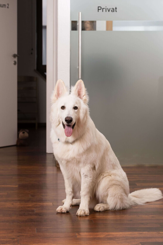 Bilder Logopädie Lubas