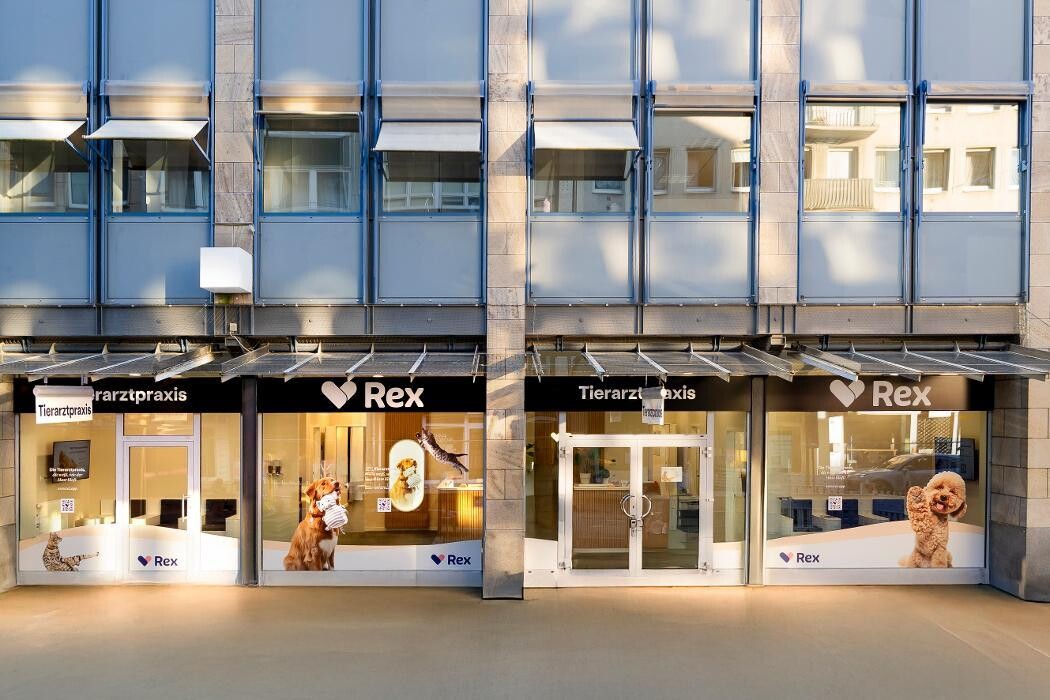 Bilder Rex Tierarztpraxis Düsseldorf