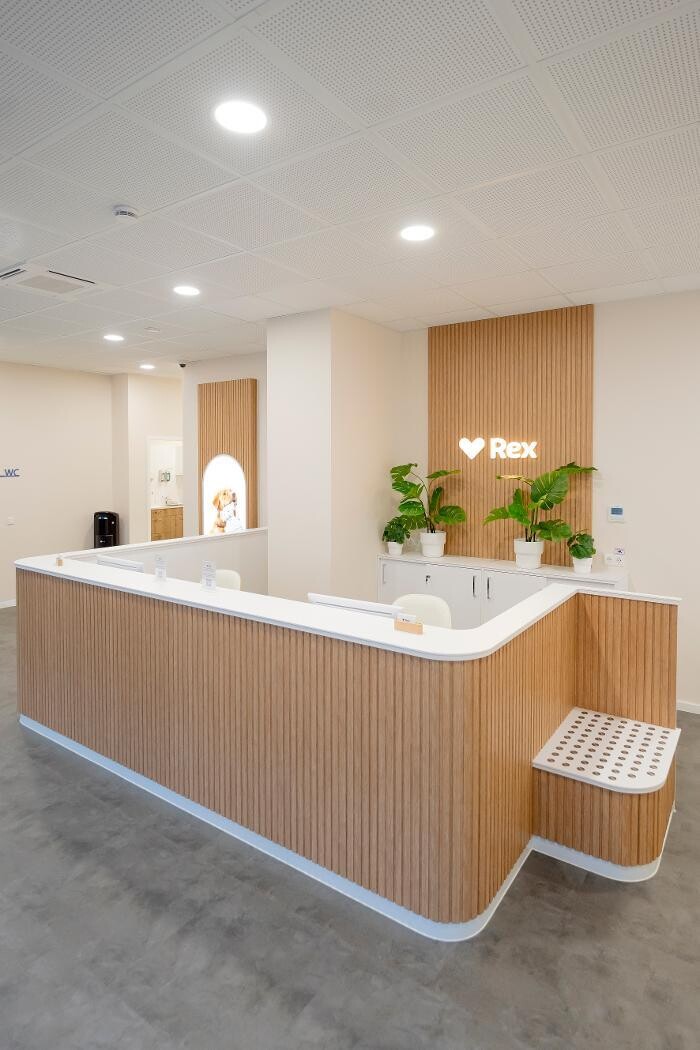 Bilder Rex Tierarztpraxis Düsseldorf