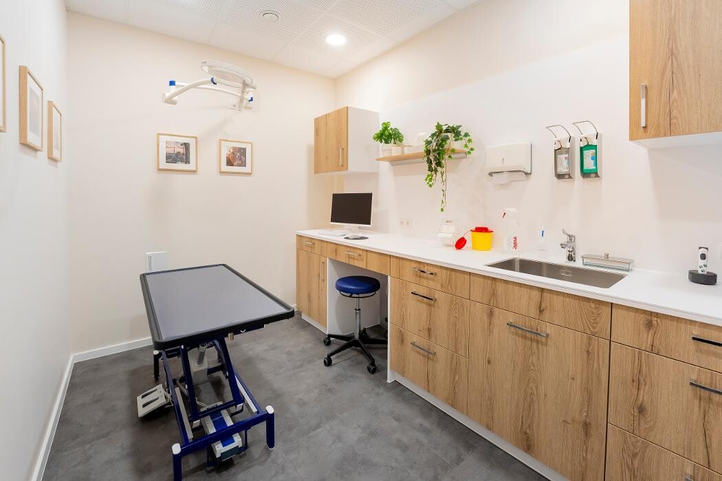 Bilder Rex Tierarztpraxis Düsseldorf