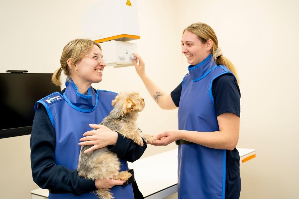 Bilder Rex Tierarztpraxis Düsseldorf