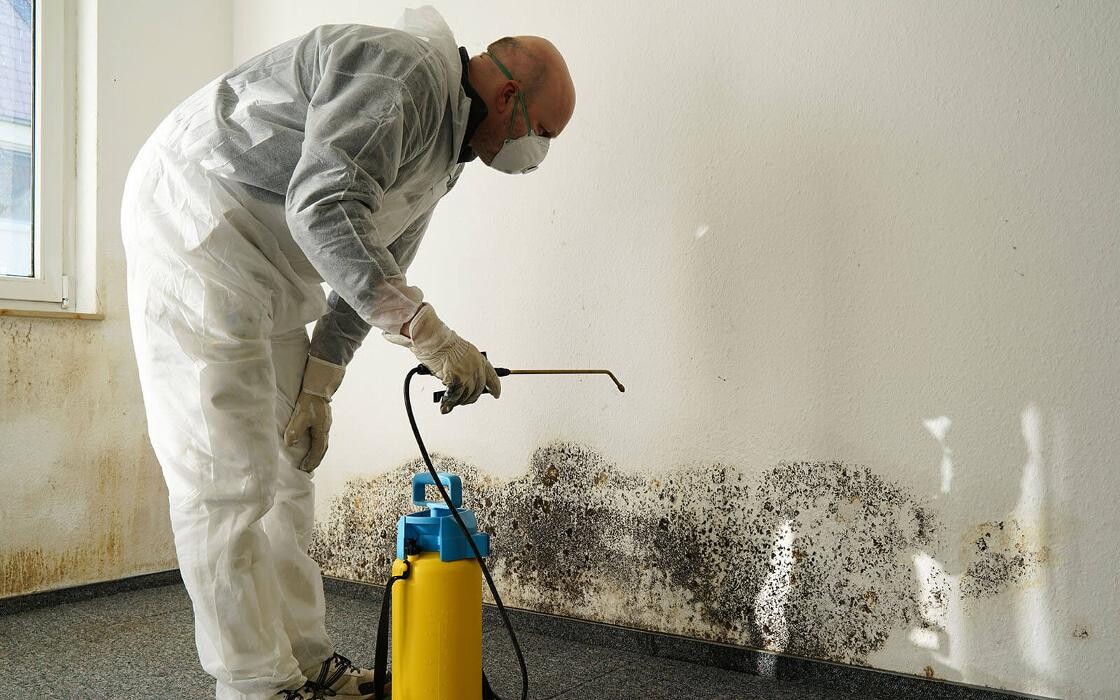 Bilder Z K S Bausanierung & Wasserschadensanierung Saarland