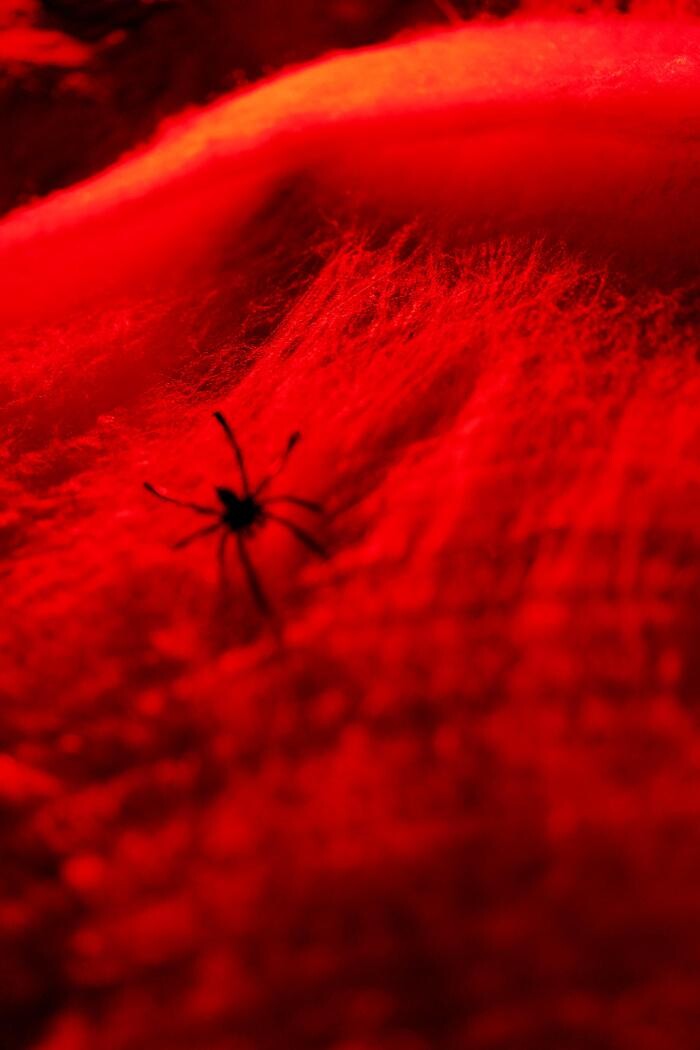 Bilder D8 Club Leipzig