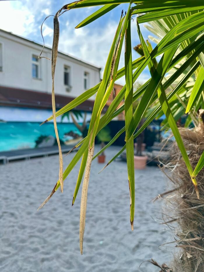 Bilder D8 Club Leipzig